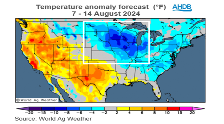 Map showing cooler than normal temperatures across US midwest 07 08 2024